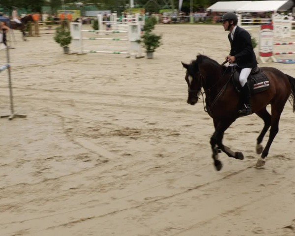 Reitturnier Mannheim-Friedrichsfeld 2024