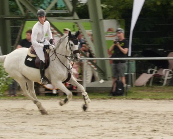 Reitturnier Mannheim-Friedrichsfeld 2024