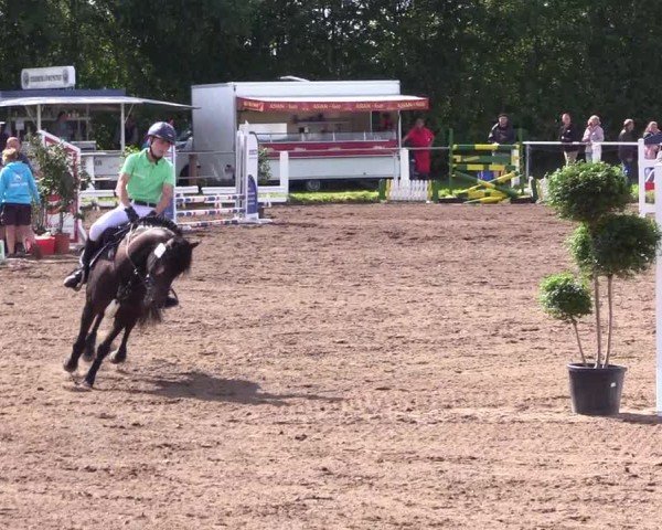 Reitturnier Sollerup 2024