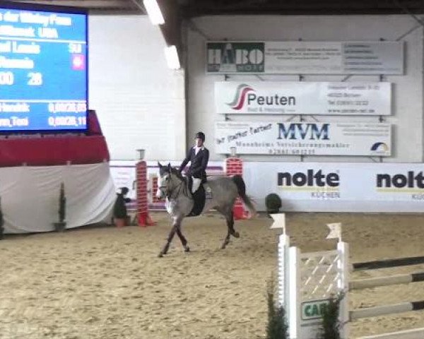 Hallenspringturnier in Borken 2013
