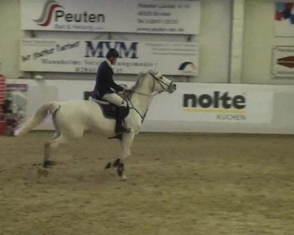 Hallenspringturnier in Borken 2013