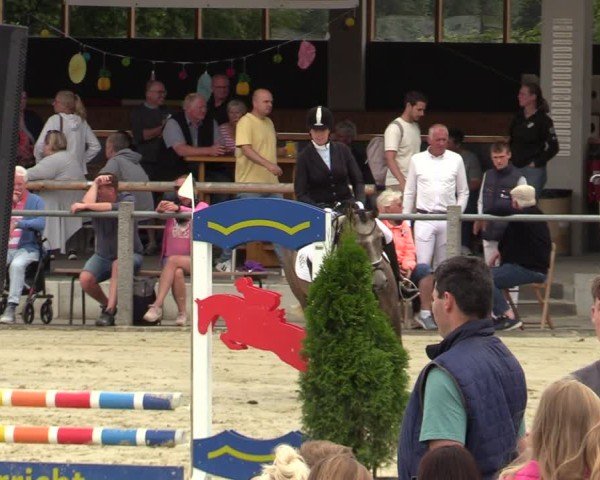 Reitturnier Ennigerloh-Neubeckum 2024