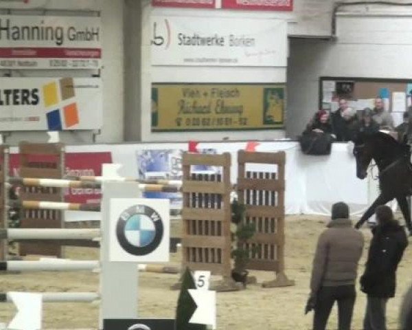 Hallenspringturnier in Borken 2013