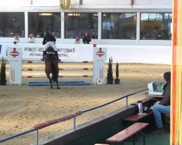 Hallenspringturnier in Borken 2013