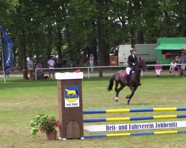 Reitturnier Zobbenitz 2024