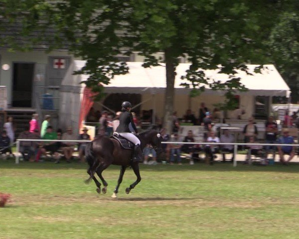 Reitturnier Zobbenitz 2024