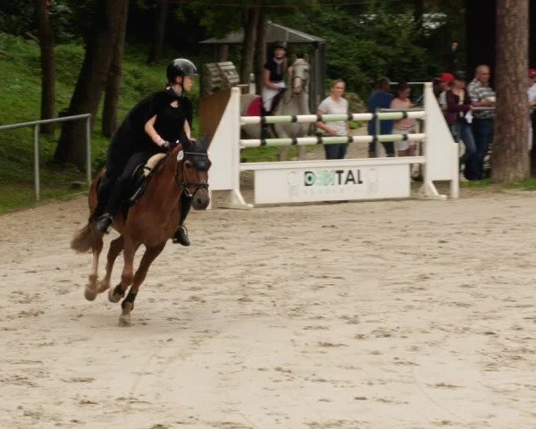 Reitturnier Mannheim-Friedrichsfeld 2024