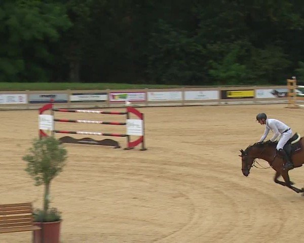 Reitturnier Tiefenhof/Opf. 2024