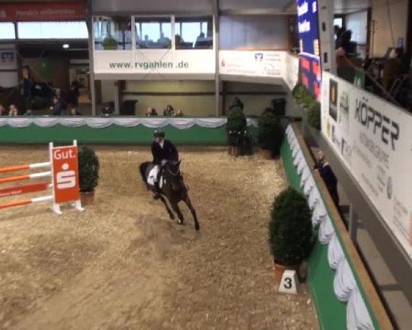 Hallenturnier Gahlen 04.-06.01.2013