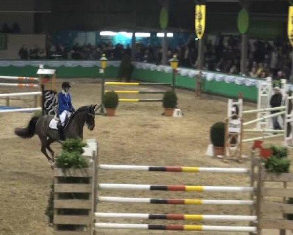 Hallenturnier Gahlen 04.-06.01.2013