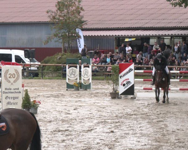 Reitturnier Marienheide-Kempershöhe 2024