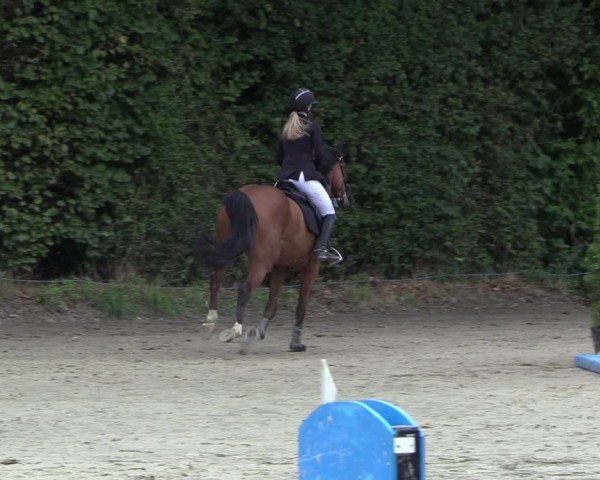 Reitturnier Arnsberg-Holzen 2024
