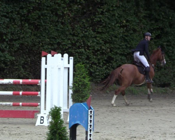 Reitturnier Arnsberg-Holzen 2024