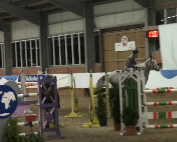 Grevener-Hallenspringturnier 2013