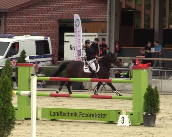 Reitturnier Ennigerloh-Neubeckum 2024