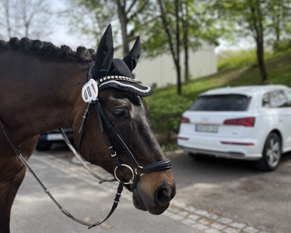dressage horse Tauron (Polish Warmblood, 2010, from Huzar)