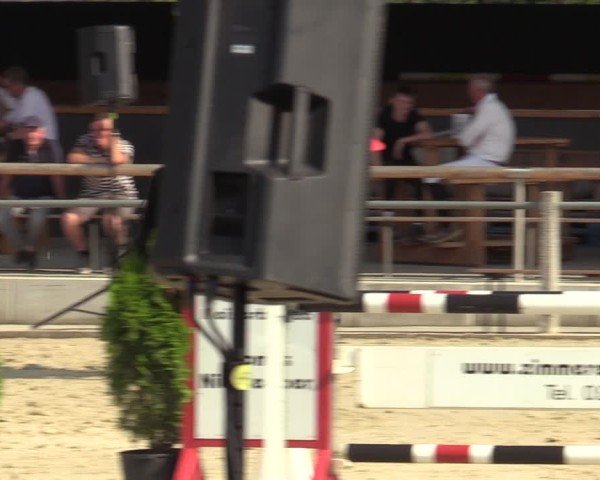 Reitturnier Ennigerloh-Neubeckum 2024