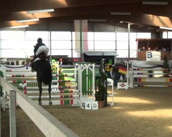 I. Hallen Youngster Turnier des RuF Rhede-Krommert im Reitersportzentrum Gerd Koenemann 2013