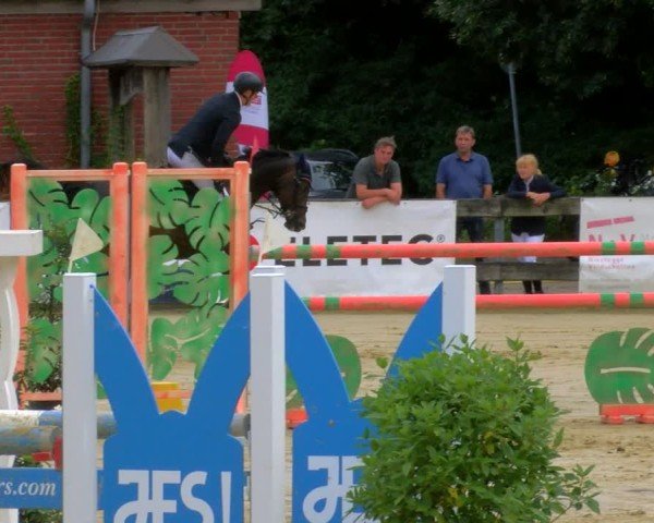 Reitturnier Stadtlohn 2024