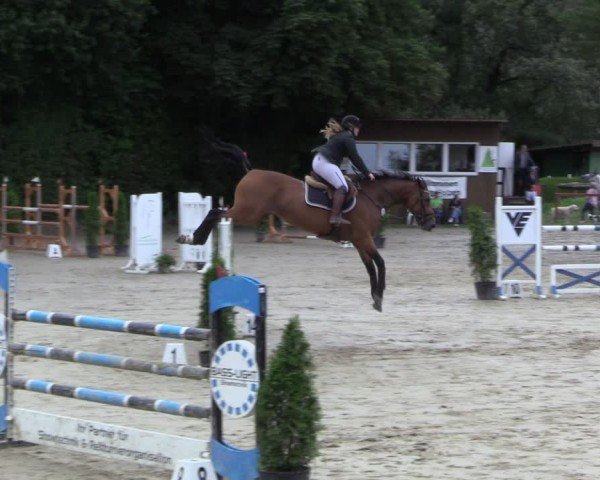 Reitturnier Arnsberg-Holzen 2024
