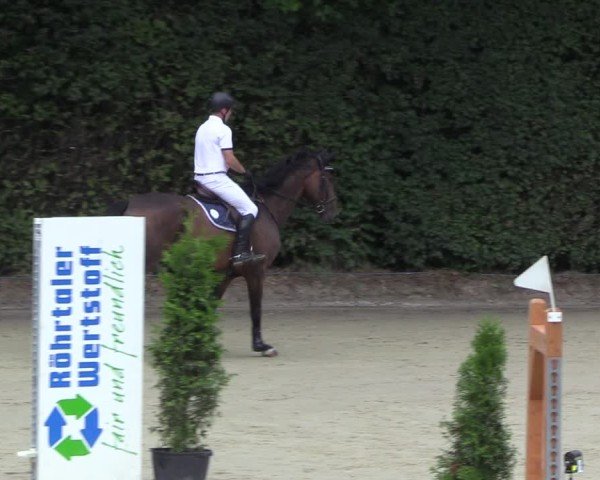 Reitturnier Arnsberg-Holzen 2024