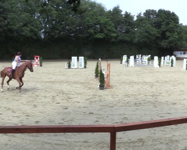 Reitturnier Arnsberg-Holzen 2024