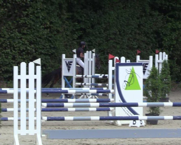 Reitturnier Arnsberg-Holzen 2024