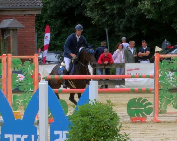 Reitturnier Stadtlohn 2024