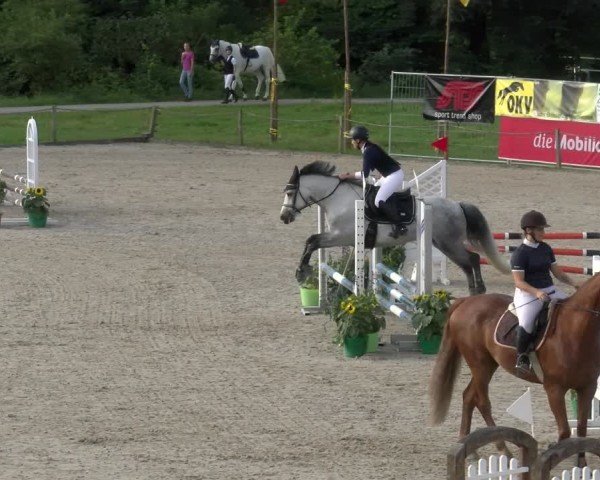 Reitturnier Gossau 2024