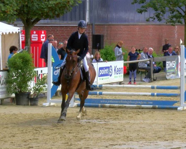 Reitturnier Stadtlohn 2024