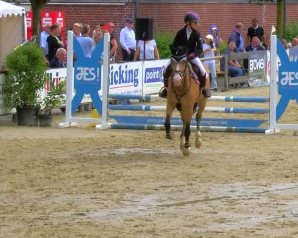 Reitturnier Stadtlohn 2024