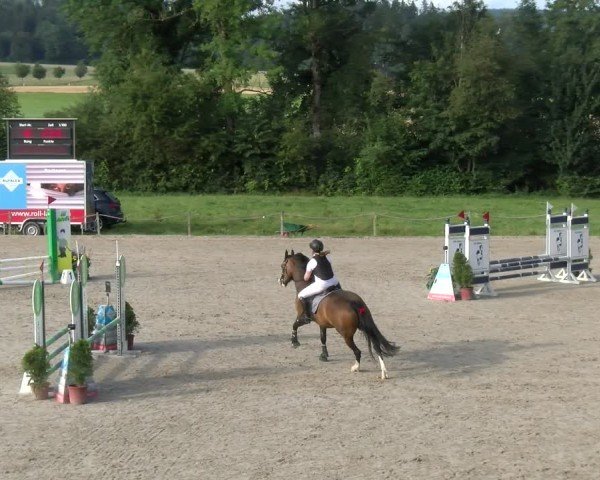 Reitturnier Gossau 2024