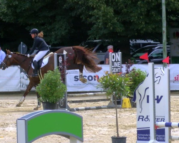 Reitturnier Stadtlohn 2024