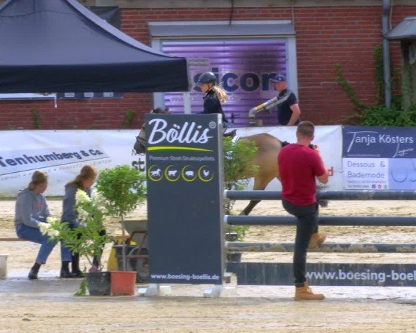 Reitturnier Stadtlohn 2024