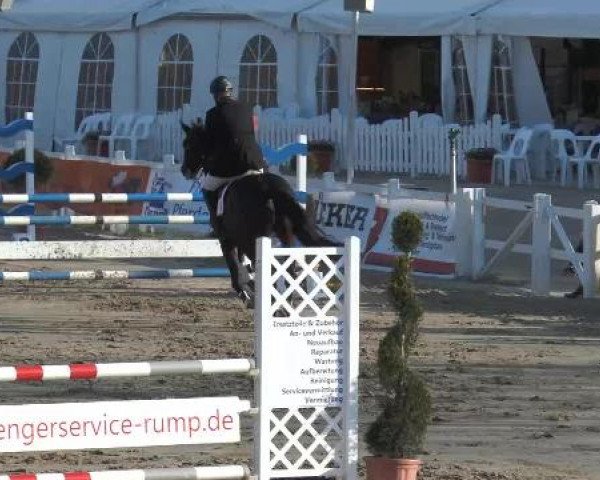 Lenklarer Reitertage auf der Reitsportanlage Gripshöver 2013