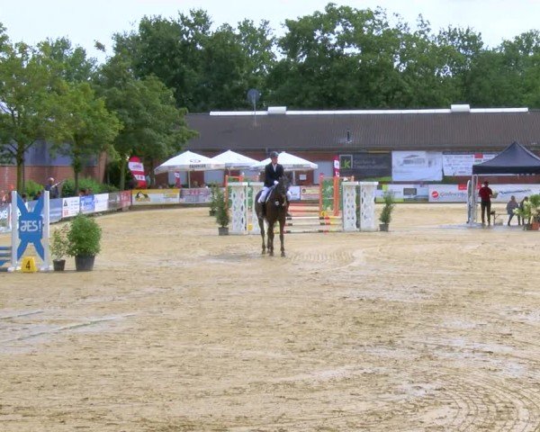 Reitturnier Stadtlohn 2024