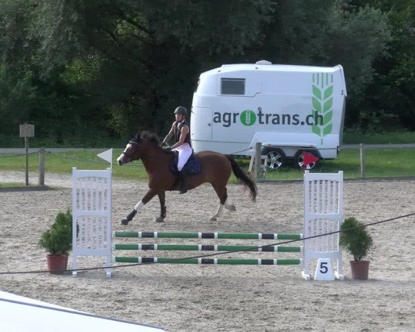 Reitturnier Gossau 2024