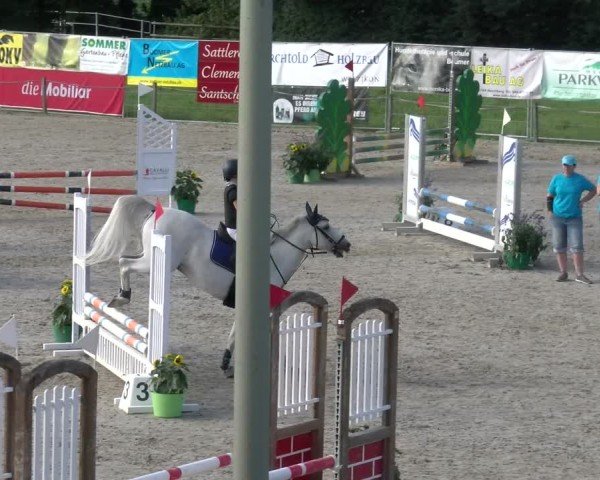 Reitturnier Gossau 2024