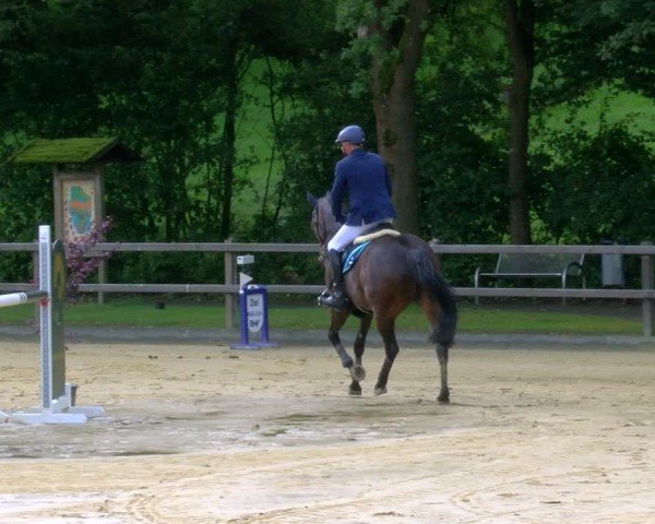 Reitturnier Stadtlohn 2024