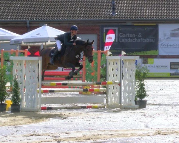 Reitturnier Stadtlohn 2024