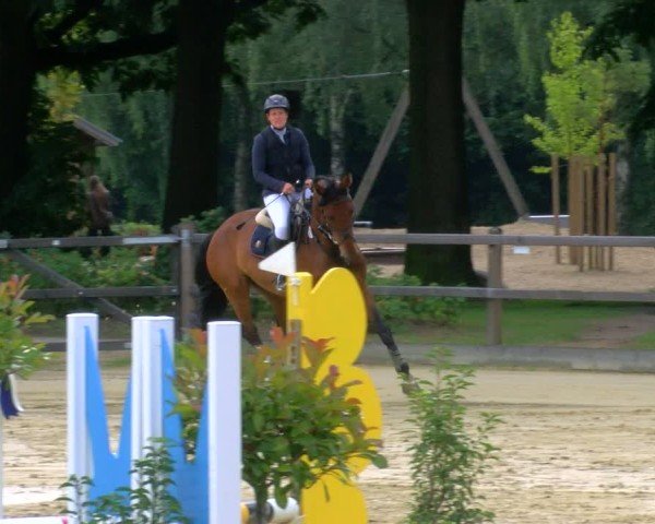 Reitturnier Stadtlohn 2024