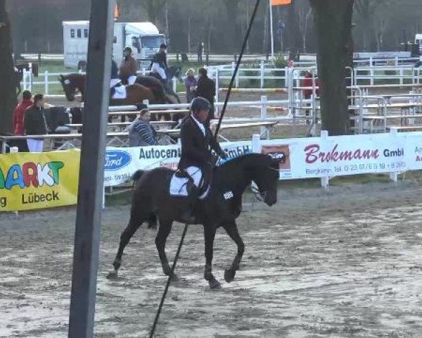 Reitturnier Werne-Lenklar 2013