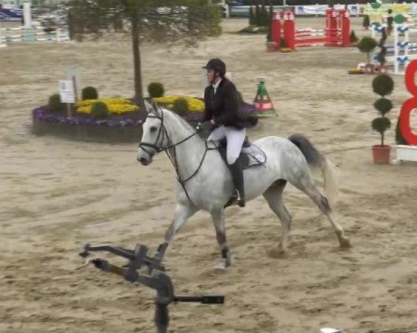 Reitturnier Werne-Lenklar 2013