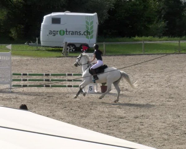 Reitturnier Gossau 2024