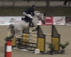 jumper Quilord (Holsteiner, 2012, from Quidam de Revel)