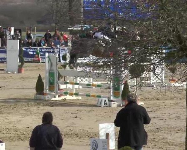 Reitturnier Werne-Lenklar 2013