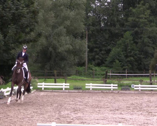 Reitturnier Nettetal-Lobberich 2024