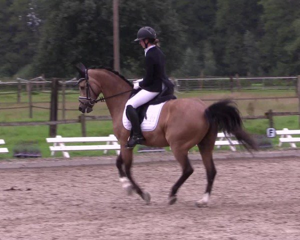 Reitturnier Nettetal-Lobberich 2024