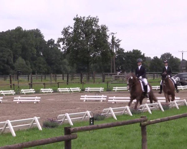 Reitturnier Nettetal-Lobberich 2024