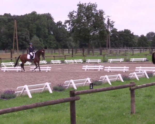 Reitturnier Nettetal-Lobberich 2024